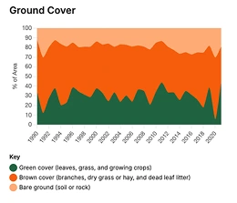 Background Satellite Image