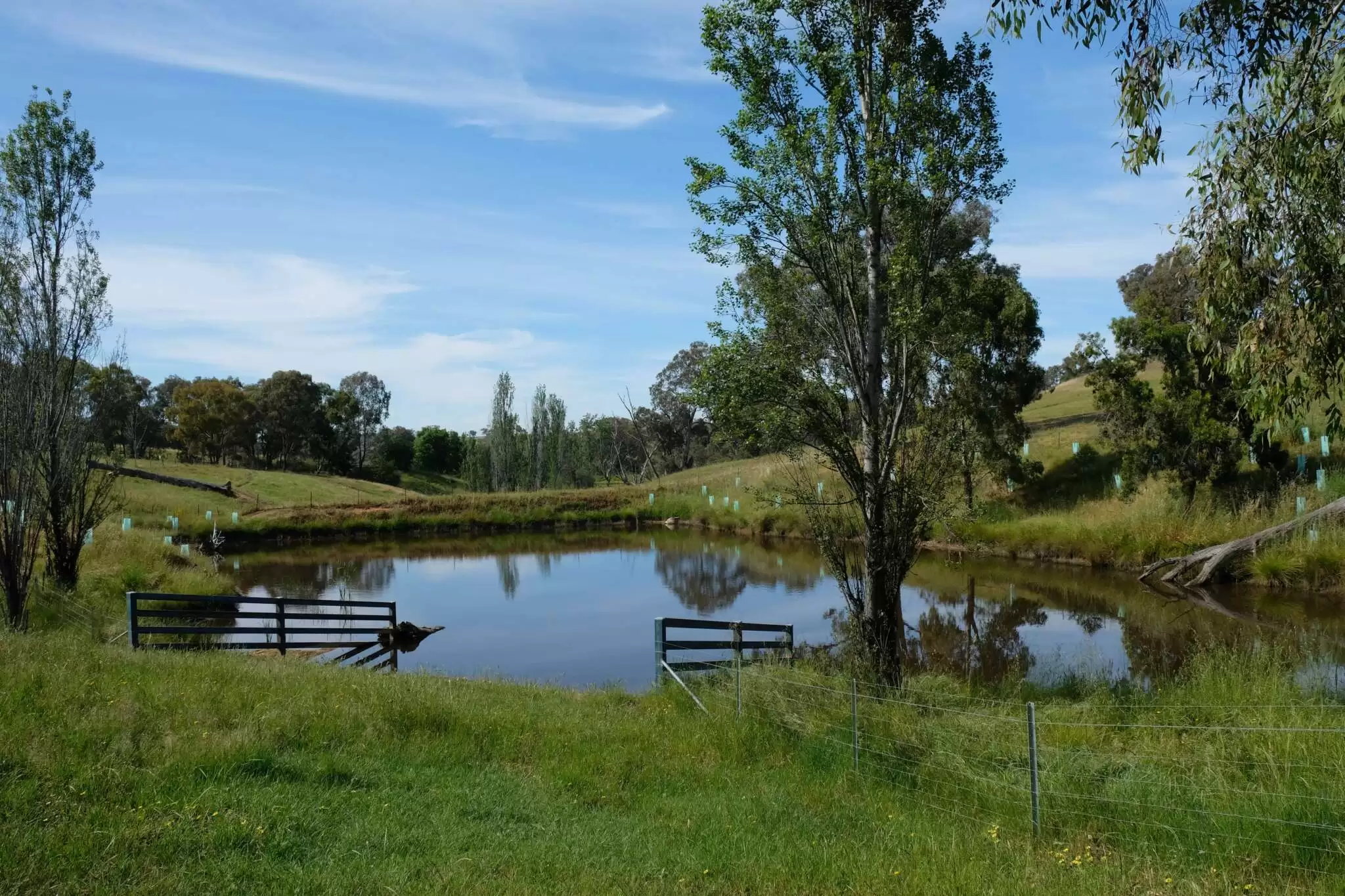 Enabling Australia's Nature Repair Market