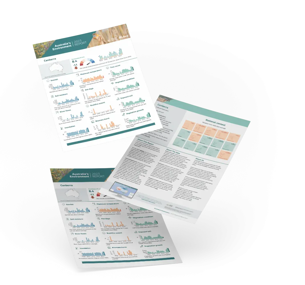 Background Satellite