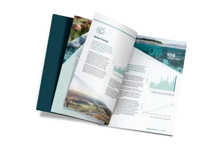 Background Satellite