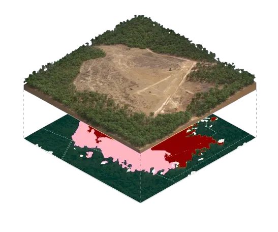 Background Satellite Image