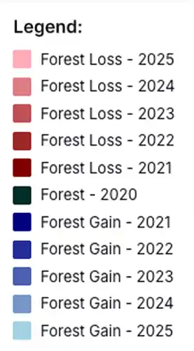 Background Satellite Image