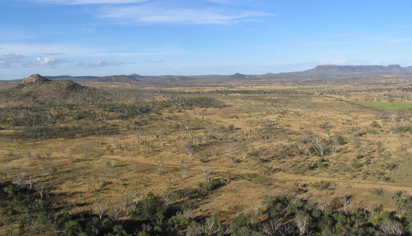 Monitoring Australia's changing tree and forest cover